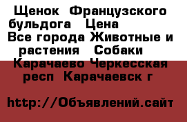 Щенок  Французского бульдога › Цена ­ 35 000 - Все города Животные и растения » Собаки   . Карачаево-Черкесская респ.,Карачаевск г.